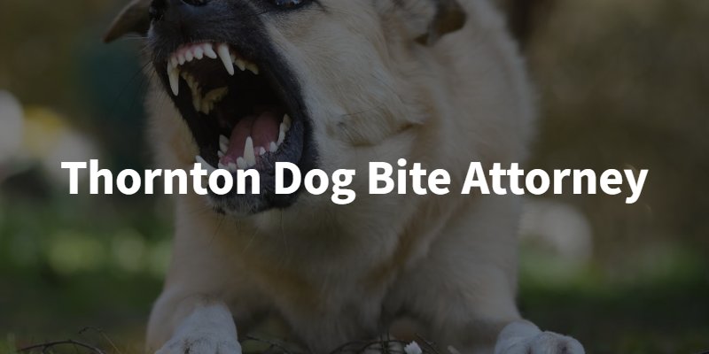 angry dog with "thornton dog bite attorney" written overtop